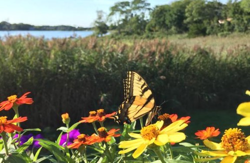 Sag Harbor Bed & Breakfast | best view