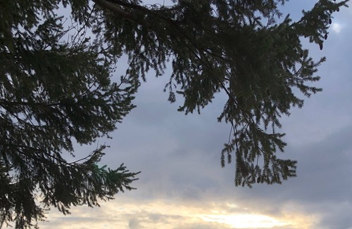 Eastsound House | Best views on Orcas and close to town!