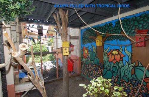 Red Bluff Hotel | Best Western Antelope Inn & Suites