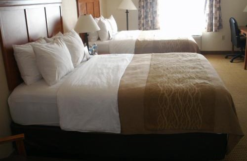 Clovis Hotel | Best Western Cannon A.F.B.