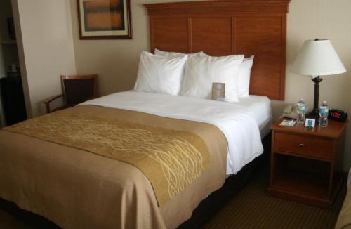 Clovis Hotel | Best Western Cannon A.F.B.