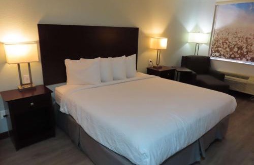 Childress Hotel | Best Western Childress West Hotel