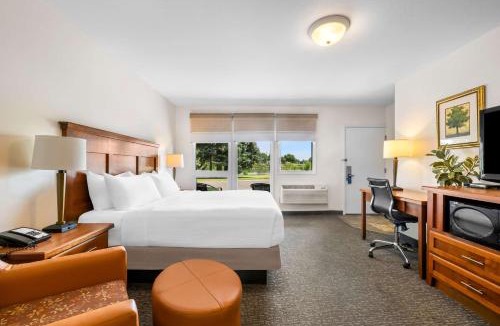 Idaho Falls Hotel | Best Western Driftwood Inn