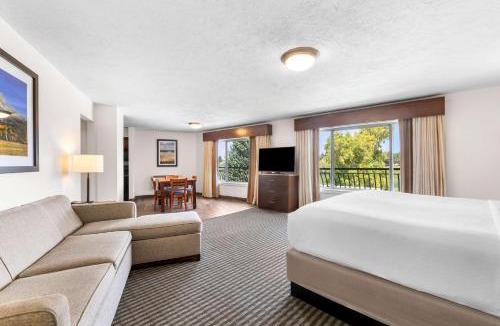 Idaho Falls Hotel | Best Western Driftwood Inn