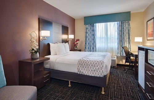 Fort Myers Hotel | Best Western Fort Myers Inn & Suites
