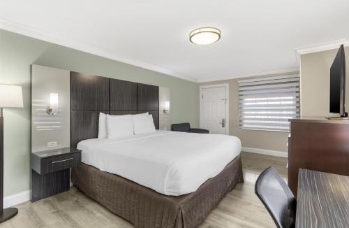 St. Augustine Historic District Hotel | Best Western Historic Bayfront