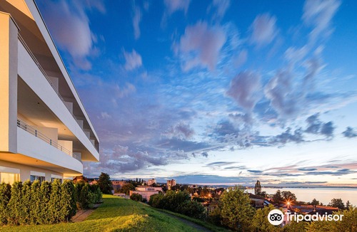Rorschacherberg Hotel | Best Western Hotel Rebstock