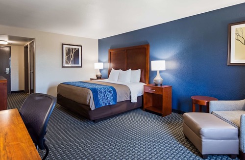 Calallen Hotel | Best Western Northwest Corpus Christi Inn & Suites