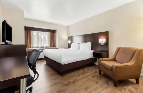 Charleston Hotel | Best Western Patriots Point