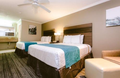 Pearland Hotel | Best Western Pearland Inn