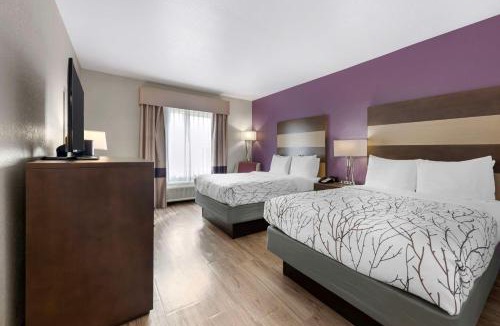 Buda Hotel | Best Western Plus Buda Austin Inn & Suites