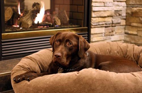 Halifax Hotel | Best Western Plus Chocolate Lake Hotel - Halifax