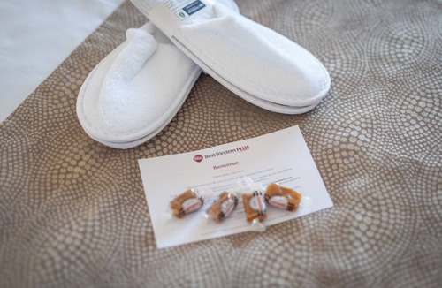 Vannes Hotel | Best Western Plus Hôtel Le Roof