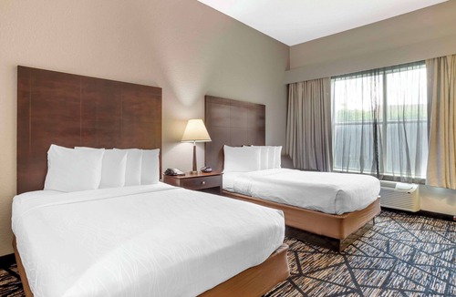Southeast Houston Hotel | Best Western Plus Hobby Airport Inn & Suites