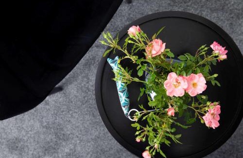 Larmor-Plage Hotel | Best Western Plus Hotel les Rives du Ter