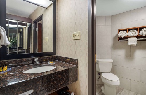 Energy Corridor Hotel | Best Western Plus Houston Energy Corridor