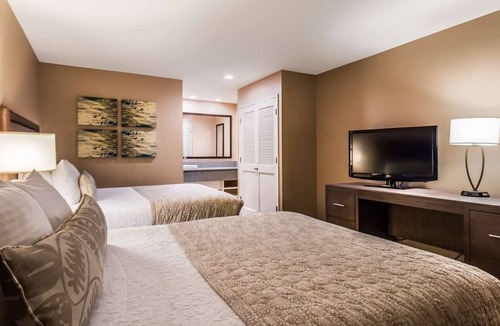 Scotts Valley Hotel | Best Western Plus Inn Scotts Valley