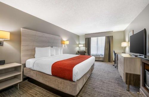 Lake City Hotel | Best Western Plus Lake City