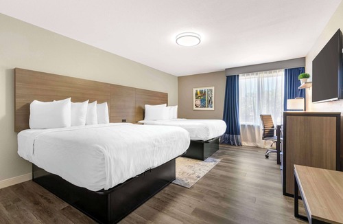 Lewisville Hotel | Best Western Plus Lewisville Flower Mound