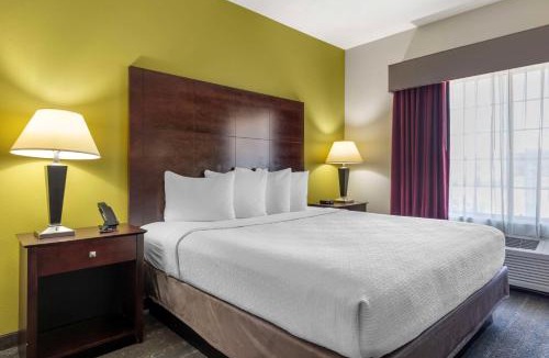 South Arlington Hotel | Best Western Plus Mansfield Inn & Suites