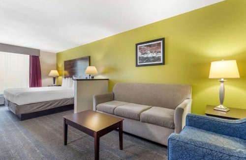 South Arlington Hotel | Best Western Plus Mansfield Inn & Suites