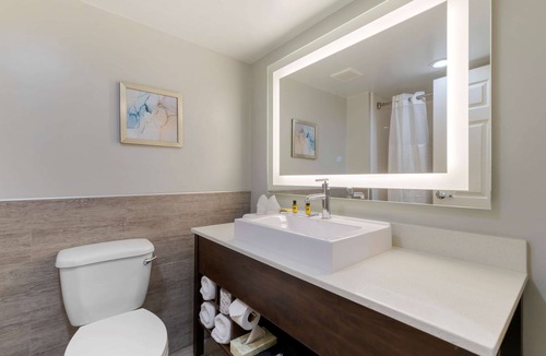 McAllen Hotel | Best Western Plus McAllen Airport Hotel