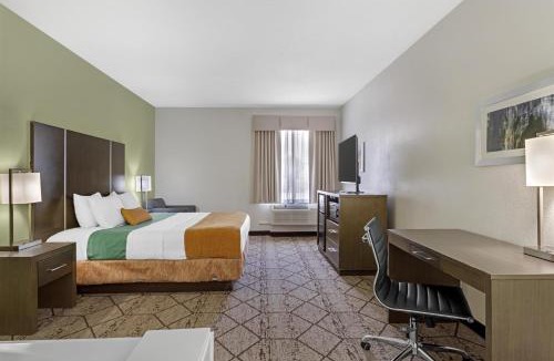 Houston Hotel | Best Western Plus North Houston Inn & Suites