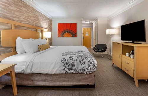 Winston - Salem Hotel | Best Western Plus University Inn