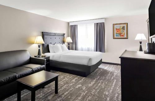 Carbondale Hotel | Best Western Saluki Inn