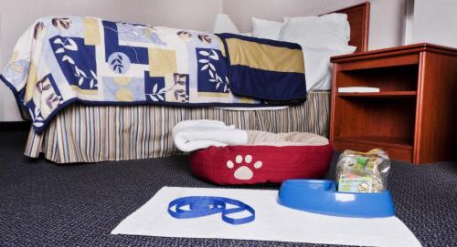 Sandy Hotel | Best Western Sandy Inn