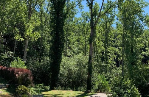 Rignac House | Between Rodez & Albi detached house isolated and quiet up to 11 beds
