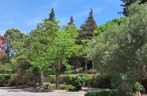 Narbonne House | Between sea and Canal du Midi, LA VIGNERAIE, comfortable air-conditioned gîte