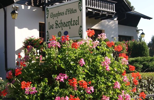 Rodern Apartment | Between vineyards and mountains, charming cottage *** Le Schaentzel