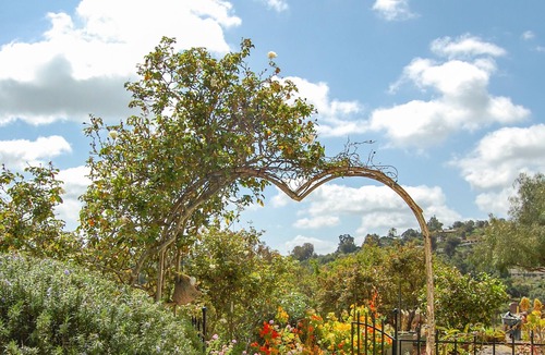 Fallbrook House | Beverly's Hilltop Retreat