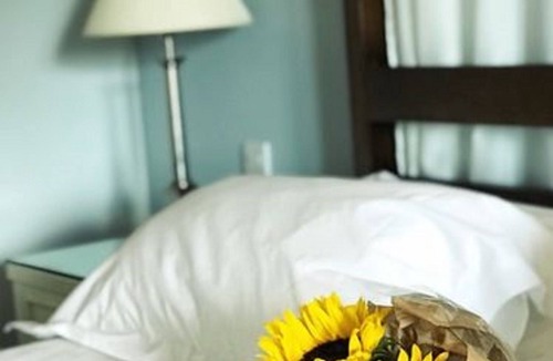 Bicester Hotel | Bicester Hotel Golf and Spa