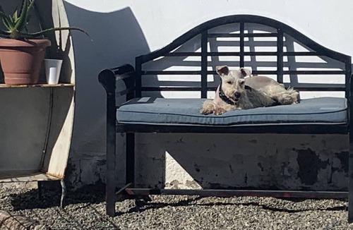 Lengueta Arenosa House | BIENVENIDOS! to paradise