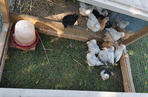 Concevreux Bed & Breakfast | Bienvenue chez moi à Concevreux