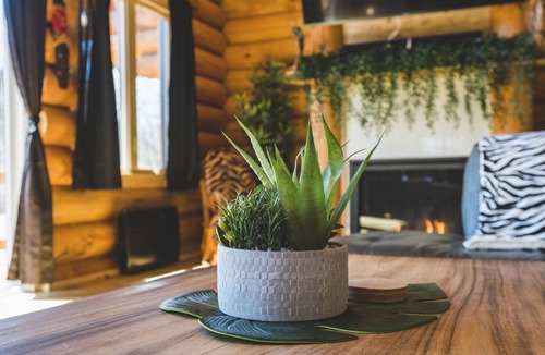 Saint-Philemon Cabin | BIENVENUE DANS LA JUNGLE - CHALET EN BOIS ROND