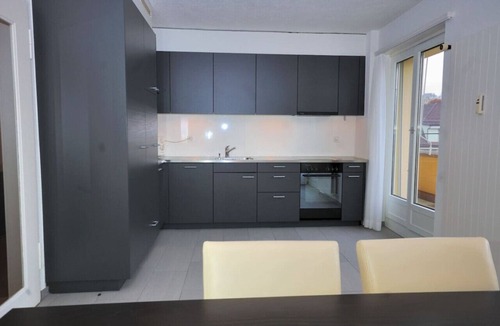 Muhlebach Apartment | Big 1BR apartment in the center (Mill 3.55)