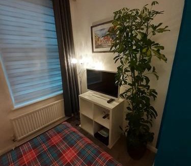 Westminster House | BIG BEN'S SHADE