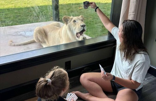 Town of Sullivan House | Big Cat Bungalows at The Haven - Lion 2