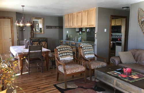 Mount Crested Butte Condo | Big Condo. Incredible Views. Great 'Vibe'