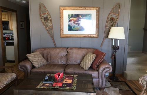 Mount Crested Butte Condo | Big Condo. Incredible Views. Great 'Vibe'