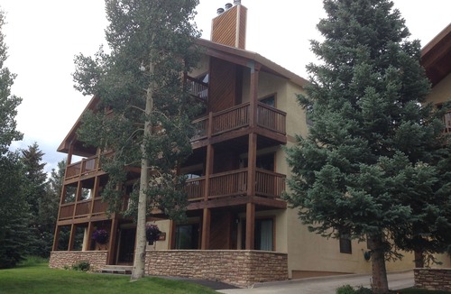 Mount Crested Butte Condo | Big Condo. Incredible Views. Great 'Vibe'