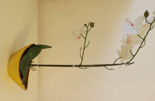 Binley House | BIG double room in coventry