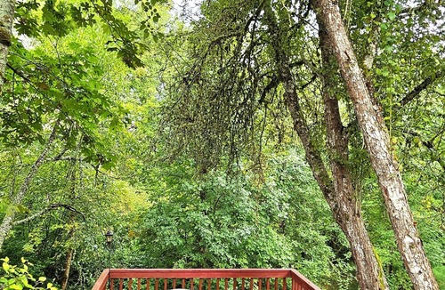 Orenco House | Big House w/Lush Backyard Oasis