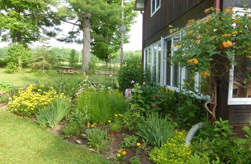 Drummond-North Elmsley Cottage | Big Rideau Lake Experience