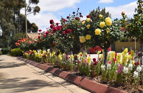 Echuca Hotel | Big River Motel