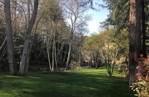 Big Sur Hotel | Big Sur River Inn