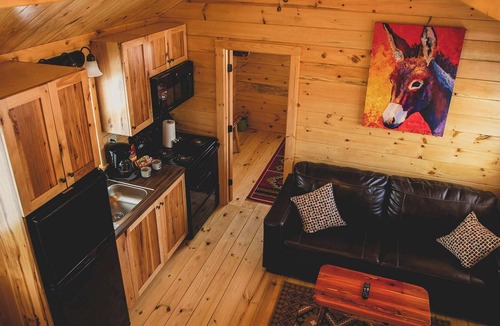 Amarillo Cabin | Big Texan Cabins Summ